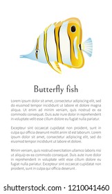 Aquarium butterfly fish exotic sea inhabitant and rare aquatic specie colorful cartoon flat vector illustration. Nautical poster with text sample.