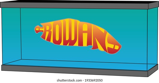 aquarium cartoon image with arowana writing 