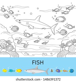At Aquarium, Children Looking At Shark  And Fishes Swimming, Animal, Field Trip, Educational Tour, Travel