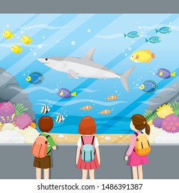 At Aquarium, Children Looking At Shark  And Fishes Swimming, Animal, Field Trip, Educational Tour, Travel