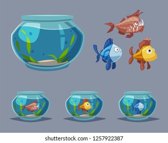 Aquarium with clear water. Cartoon vector illustration. Underwater world in round  aquarium. Freshwater fish. Domesticated pet