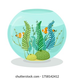 Aquarium with clown fishes, corals and algae in flat style. Vector hand drawn illustration of reef fishes swimming in an aquarium.