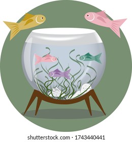Aquarium colorful fish. Aquarium with fish for your design.