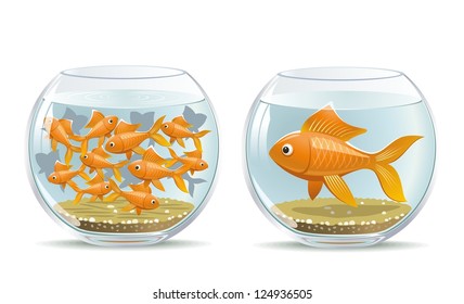 Aquarium Comparison. Illustration Of The Reaction Of Different Participants In The Same Conditions.