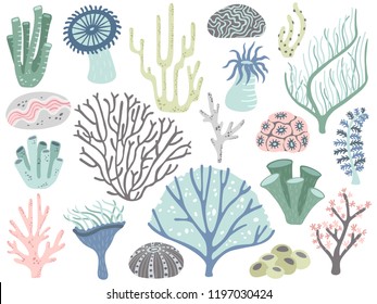 Aquarium corals and seaweed. Marine ocean coral flora, decor underwater seaweeds and different water plants. Algas and corals blossom tropical sea plant elements cartoon vector isolated icons set