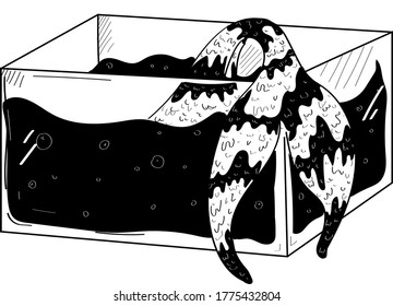 aquarium with dark water and a protruding mermaid tail