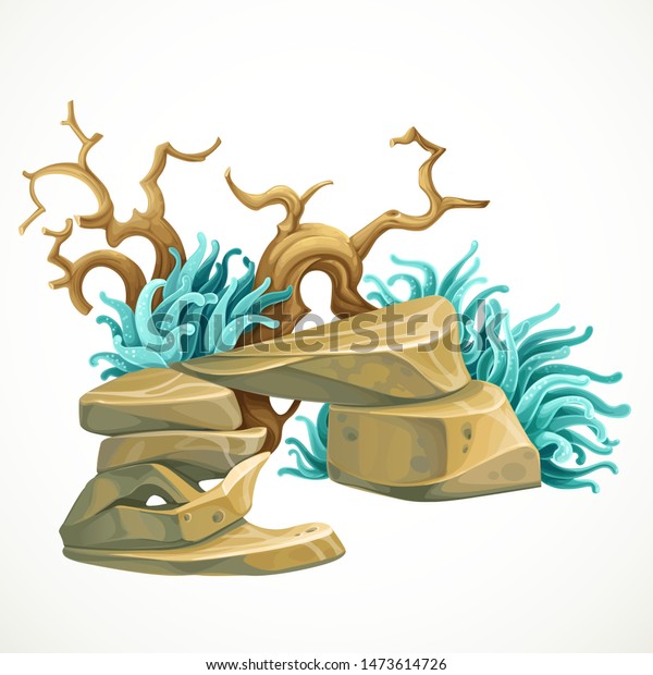 Aquarium Decoration Stone Arch Sea Anemones Stock Image Download Now