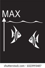 aquarium decorative fish
