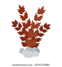 aquarium decorative seaweed icon