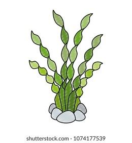 aquarium decorative seaweed icon
