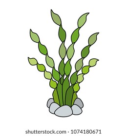 aquarium decorative seaweed icon
