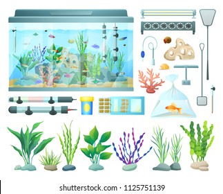 Aquarium equipment and varied seaweed collection, vector illustration of underwater habitats and fish in packet, professional tools set for water care