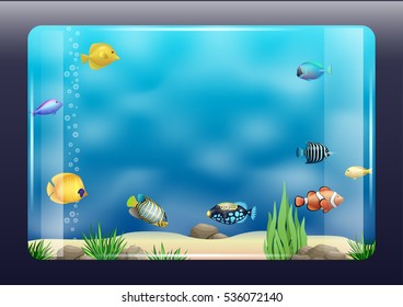 An aquarium with exotic marine fish. Clear glass. Vector graphics