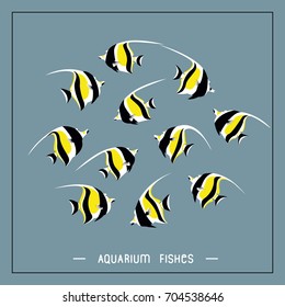Aquarium fish.