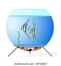 Aquarium fish