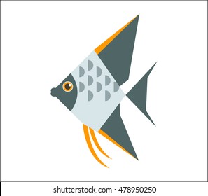 Aquarium fish. Angelfish flat illustration. The inhabitants of marine reef aquariums and ponds