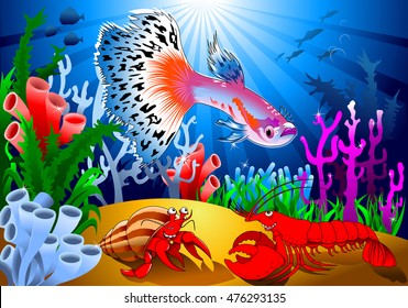 Aquarium fish. Beautiful guppy. Highly detailed vector and illustration