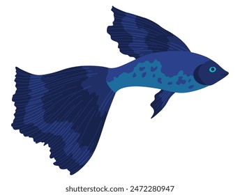 Aquarium fish. Beautiful underwater character. Decorative colored freshwater fish in flat cartoon design. Vector illustration, isolated animal on white