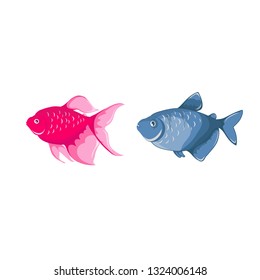 aquarium fish colored. On a white background. ternetzi