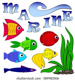 aquarium fish colorful bright set, collection nature ocean and sea, , marine element fishing,