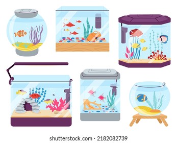 Aquarium fish. Colourful fish in tank, algae and tropical goldfish in seawater. Beautiful pet, ocean underwater world in fishbowl decent vector set