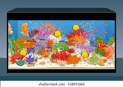 Aquarium with fish and corals. Marine aquarium. Reef home aquarium. Vector illustration