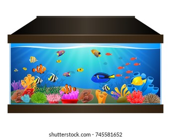 Aquarium Fish Corals Marine Aquarium Vector Stock Vector (Royalty Free ...