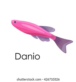 Aquarium fish Danio vector illustration isolated on white background.