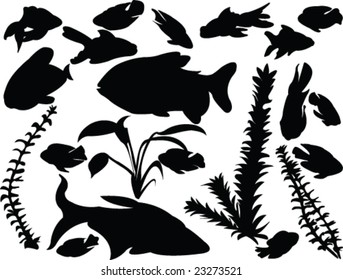 aquarium fish and decoration silhouettes - vector