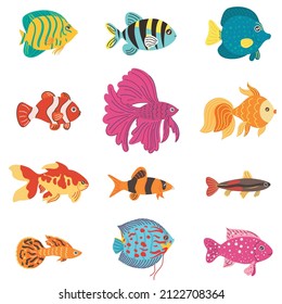 Aquarium fish. Different breeds color decorative fishes, home hobby, water pets, tropical aquatic mini underwater tropical creatures, goldfish with long fin tails, vector set