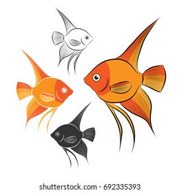 Aquarium fish. In different variants. Vector illustration.