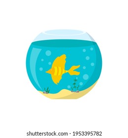 Aquarium fish flat vector illustration isolated on white background