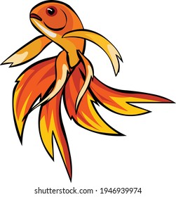 Aquarium Fish Gold fish vector illustration isolated on white background