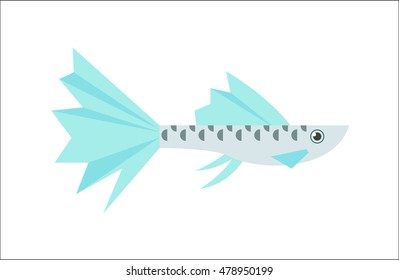 Aquarium fish. Guppy flat illustration. The inhabitants of marine reef aquariums and ponds