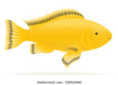 aquarium fish isolated on white background