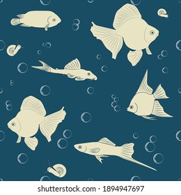 Aquarium fish on a dark blue background and air bubbles.