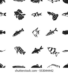 Aquarium fish pattern icons in black style. Big collection of aquarium fish vector symbol stock illustration