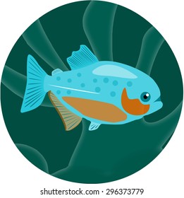 Aquarium fish. Piranha. Highly detailed vector illustration. EPS 10.