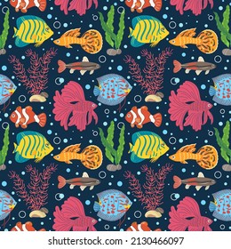 Aquarium fish seamless pattern. Different breeds colorful little fishes, decorative algae, stones, underwater world, isolated on blue background. Decor textile, wrapping paper, vector print