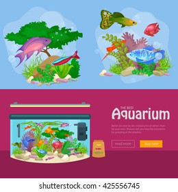 Aquarium fish, seaweed underwater, banner template layout with marine animal