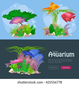 Aquarium fish, seaweed underwater, banner template layout with marine animal