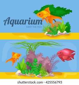Aquarium fish, seaweed underwater, banner template layout with marine animal