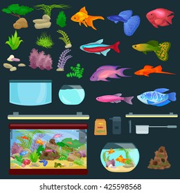 Aquarium fish, seaweed underwater, banner template layout with marine animal