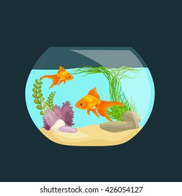 Aquarium fish, seaweed underwater, tank isolated on dark background