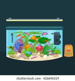 Aquarium fish, seaweed underwater, tank isolated on dark background