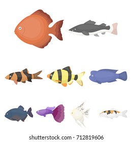 Aquarium fish set icons in cartoon style. Big collection of aquarium fish vector symbol stock illustration