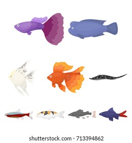 Aquarium fish set icons in cartoon style. Big collection of aquarium fish vector symbol stock illustration