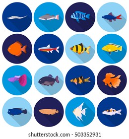 Aquarium fish set icons in flat style. Big collection aquarium fish vector symbol stock illustration