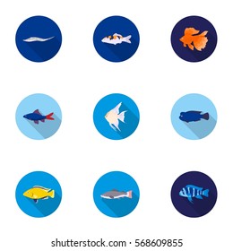 Aquarium fish set icons in flat style. Big collection of aquarium fish vector symbol stock illustration
