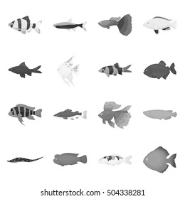 Aquarium fish set icons in monochrome style. Big collection of aquarium fish vector symbol stock illustration
